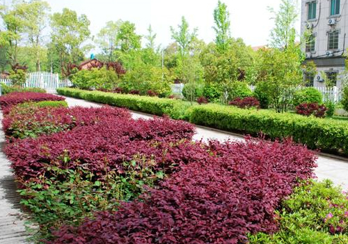 סլС�^(q��)�G���Ŀ